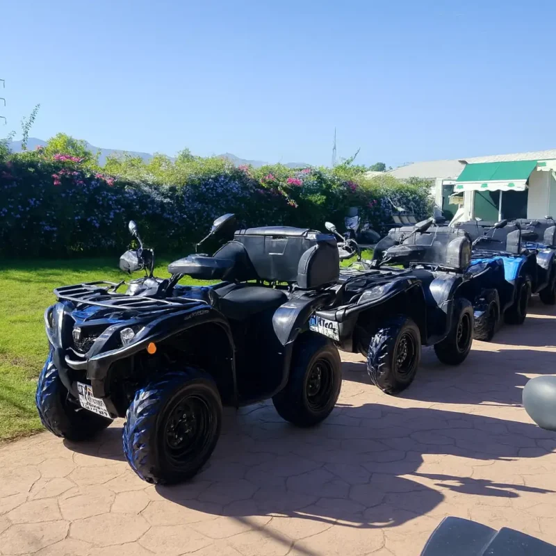 Alquiler libre de Quads